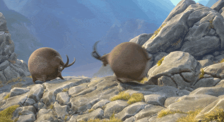 A World Where Animals Are Comically Round And Bouncy | Digg