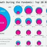 How Much Billionaires' Wealth Increased During The Pandemic, Visualized