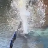 Duck Gets Yeeted By A Geyser Jet After Sitting In The Way Of The Poseidon Water Coaster At Europa-Park