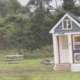 A Dad Accidentally Rented A Comically Tiny House For His Four-Person Family (And Two Dogs)