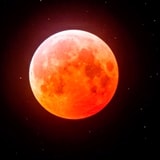 Astro Photographers Capture Stunning Red Moon Lunar Eclipse Timelapse