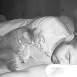 A Guy Recorded What His Cat Does While The Humans Are Asleep
