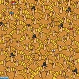 Somehow, There Is A Pumpkin Hiding Among These Turkeys. Can You Find It?
