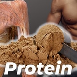 How Much Protein Humans Actually Need — And Why Too Much Can Be Dangerous