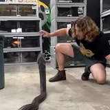Snake Handler Calmly Avoids Not One, But Two King Cobra Strikes