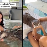 Hang Out With These Otters If You Plan On Visiting Texas