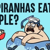Would You Survive Falling Into Piranha-Infested Waters?