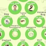 The Animals That Kill The Most Humans Every Year, Ranked
