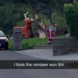 Bear Gets Into A Knock-Down Fight With Some Christmas Decorations