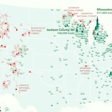 Where Christmas Trees Grow In The US, Mapped