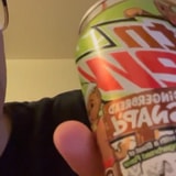 Introducing Digg's Soda Reviews: Mountain Dew Gingerbread Snap'd Tastes Weird