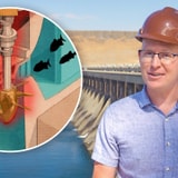 How Fish Get Around Dams And Deadly Hydro Turbines Without Turning Into Mush