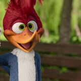 The Trailer For The Netflix 'Woody Woodpecker' Animated Movie Looks Fake, Right?