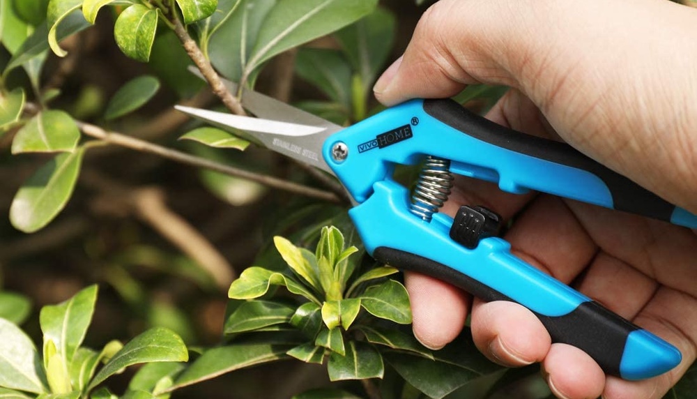 The Essential Tools You Need To Keep Your Plants Happy