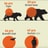 How The Human Lifespan Compares To Other Mammals, Visualized