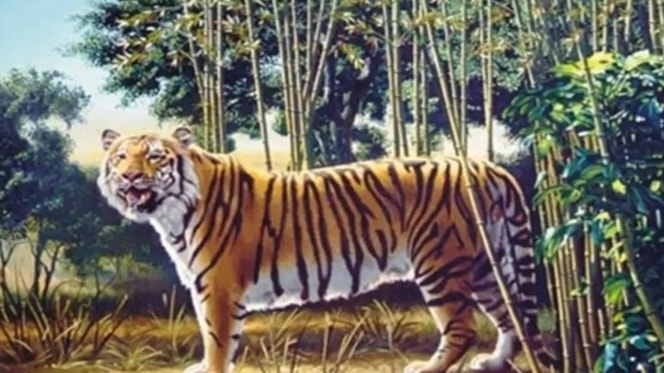 Can You Find The Hidden Tiger In This Image? Twitter Is Having A Field Day With This Clever Puzzle