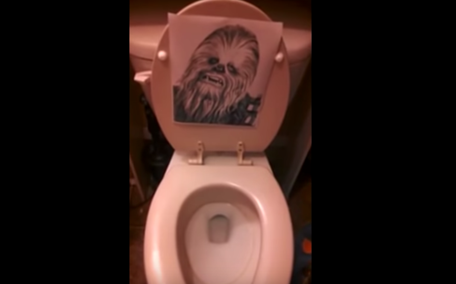 Звук унитаза. Star Wars Toilet. Шкибиди доп туалет звук. Toilets sounds