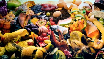 The War On Food Waste Is A Waste Of Time