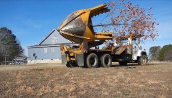 Guy Goes To Great Lengths Moving His Childhood Tree To HIs New Home