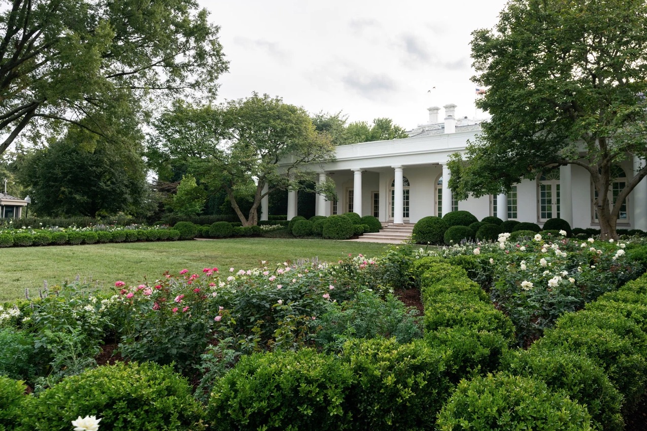 Here Are The Before And After Photos Of Melania Trump S White House Rose Garden Renovations Digg