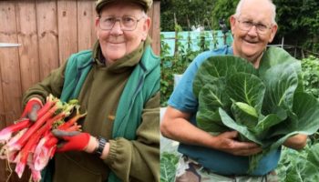 How A British Retiree Became The Twitter King Of 'Big Veg' Gardening