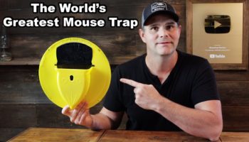 Slide Bucket Lid Mouse 1 PC 5 Gallon Bucket Compatible Flip N Slide Bucket Lid Mouse Rat Trapl Slide Bucket Lid Mouse Trap with Ladder 