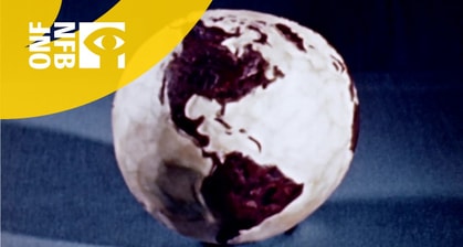 This 1947 Video Uses A Grapefruit To Perfectly Demonstrates That All World Maps Are Distortions